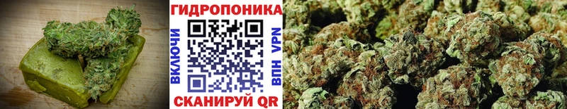 Canna-Cookies марихуана  что такое наркотик  мега ONION  Саратов 