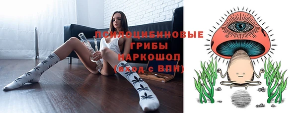 PSILOCYBIN Абинск