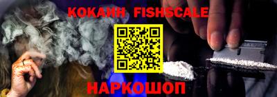 шишки Славгород