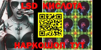 шишки Славгород