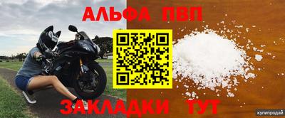 шишки Славгород