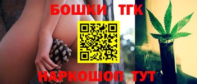 шишки Славгород
