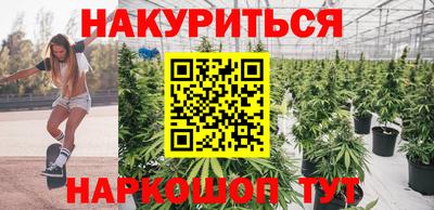 шишки Славгород