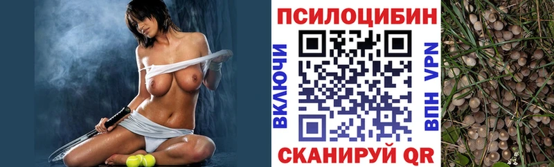 Галлюциногенные грибы GOLDEN TEACHER  площадка Telegram  Саратов 