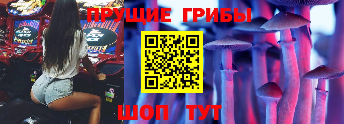 Псилоцибиновые грибы MAGIC MUSHROOMS Саратов